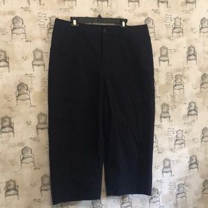 NWT Loft PLUS Wide Leg Cropped Pants